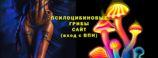 амф Алексин